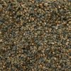PHN.GRIFFITH.PARK Phenix Stainmaster Griffith Park Carpet