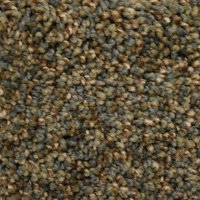 Phenix Stainmaster Griffith Park Carpet