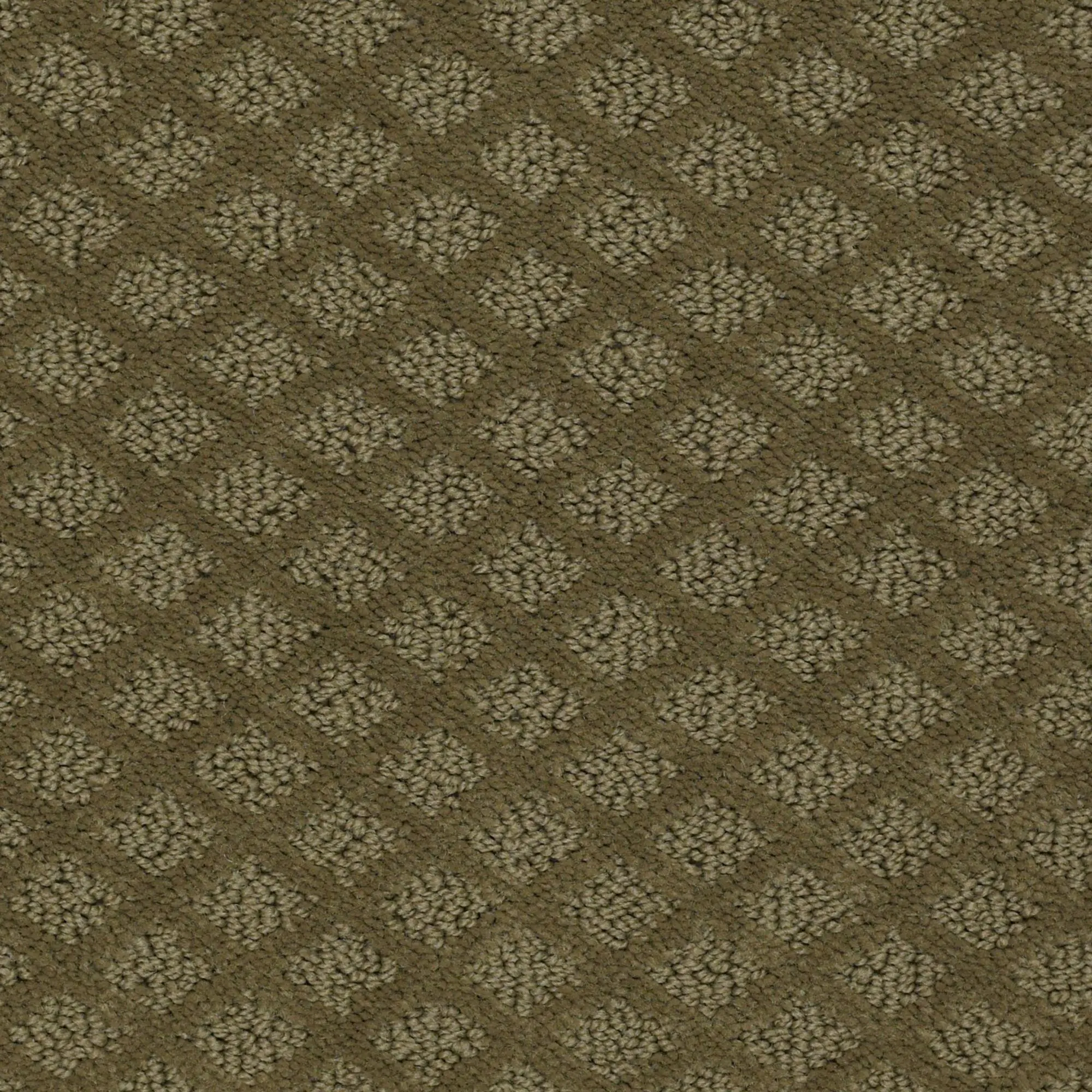 PHL.NATURE'S.OWN Shaw Nature's Own Carpet-1