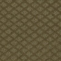 Shaw Nature's Own Carpet