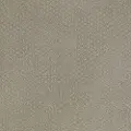 PHL.MEANINGFUL.DESIGN Shaw Meaningful Design Carpet