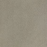 Shaw Meaningful Design Carpet