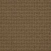 PHL.WORLD.VIEW Shaw World View Carpet