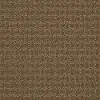 PHL.WORLD.VIEW Shaw World View Carpet