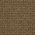 PHL.WORLD.VIEW Shaw World View Carpet