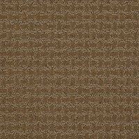 PHL.WORLD.VIEW Shaw World View Carpet