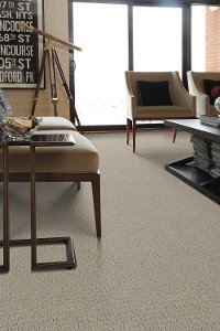 PHL.WORLD.VIEW Shaw World View Carpet-2