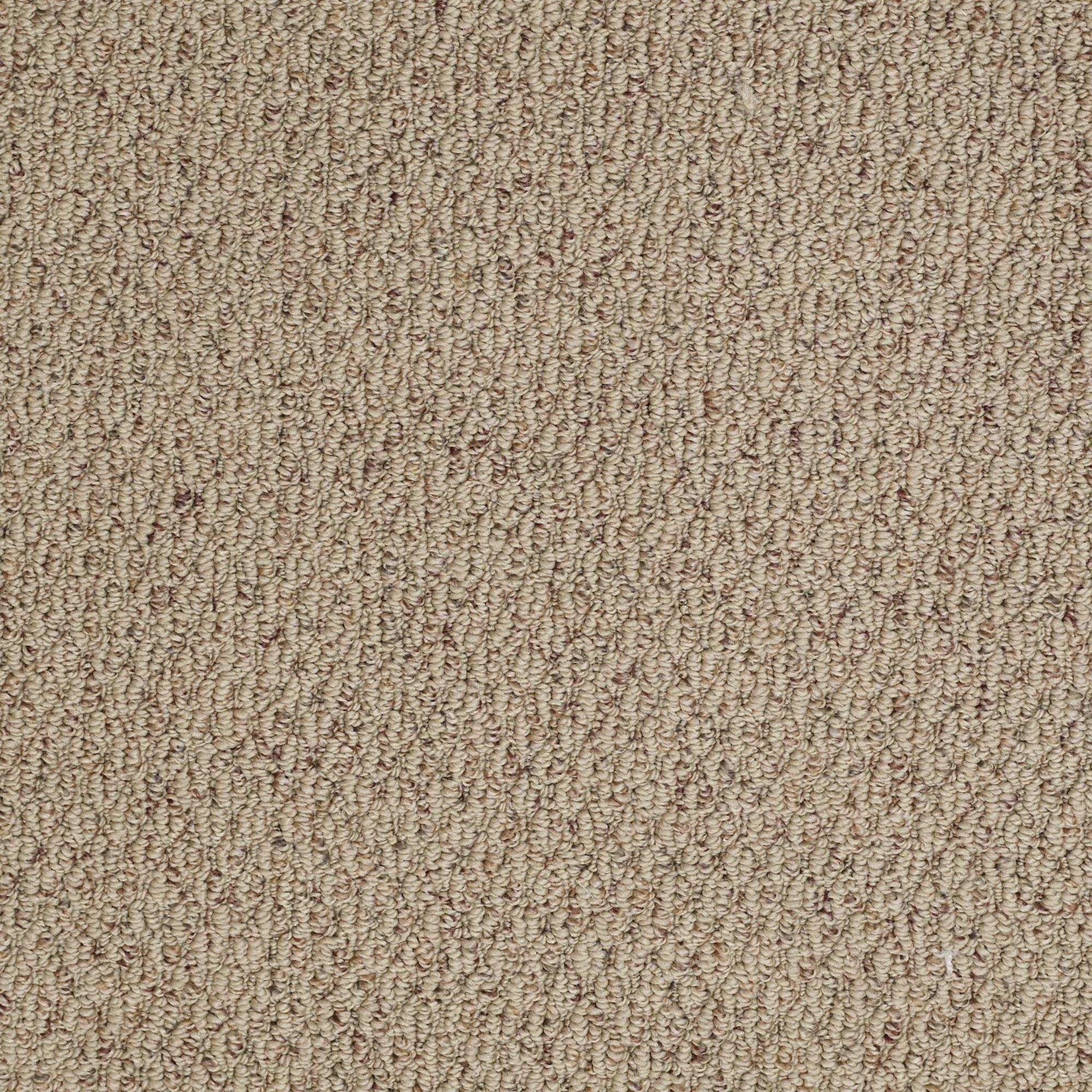 PHL.MAGNANIMOUS Shaw Magnanimous Carpet-1