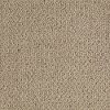 Shaw Magnanimous Carpet