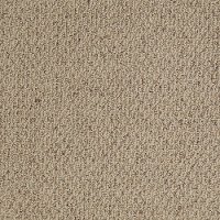 Shaw Magnanimous Carpet