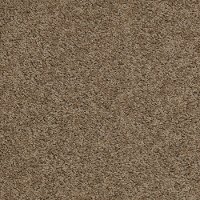 Shaw Charm Carpet