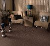 Shaw Charm Carpet-2