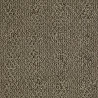 Shaw Bounteous Carpet