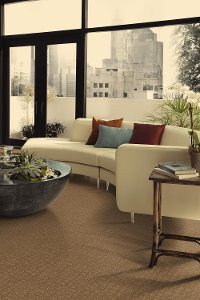 PHL.EFFORTLESS.GRACE Shaw Effortless Grace Carpet-2