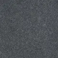 PHL.PHENOMENAL Shaw Phenomenal Carpet