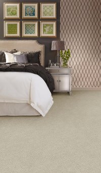 PHL.PHENOMENAL Shaw Phenomenal Carpet-2