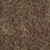 DSW.SWAG Tuftex Swag Carpet