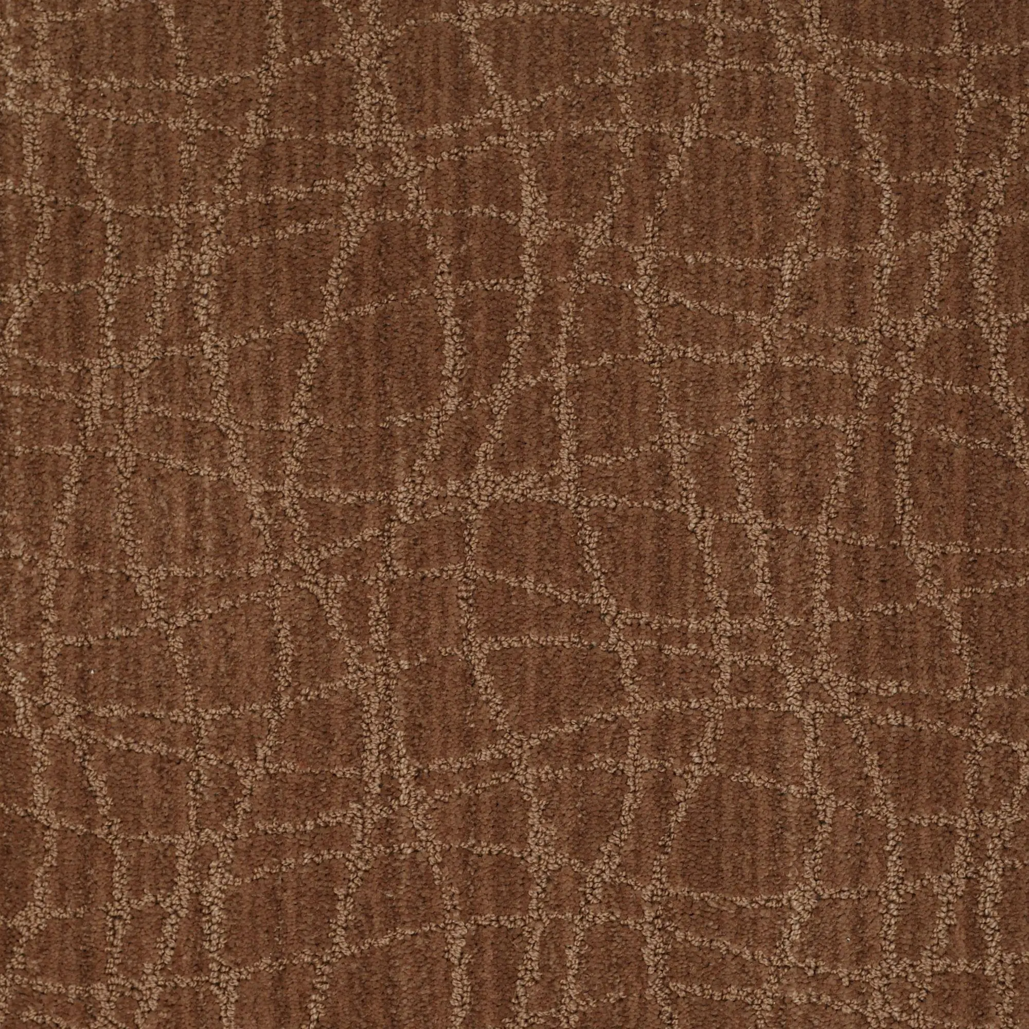 DSW.NATURALLY.YOURS Tuftex Naturally Yours Carpet-1