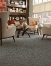 Tuftex Stainmaster Naturally Yours Carpet-2