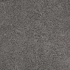 DSW.CELEB Tuftex Stainmaster Celeb Carpet