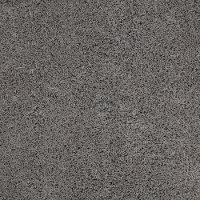 DSW.CELEB Tuftex Stainmaster Celeb Carpet