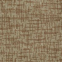 DSW.WOODBRIDGE Tuftex Woodbridge Carpet