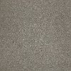 DSW.STAR.POWER Tuftex Stainmaster Star Power Carpet