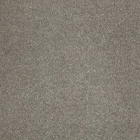 DSW.STAR.POWER Tuftex Stainmaster Star Power Carpet