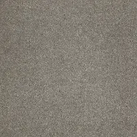 DSW.STAR.POWER Tuftex Star Power Carpet
