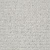 Tuftex Stainmaster Let's Play Carpet-1