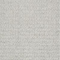 Tuftex Stainmaster Let's Play Carpet