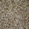 Dixie Stainmaster One On One Carpet