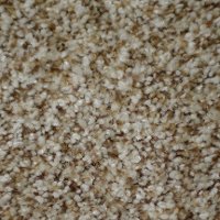 Dixie Stainmaster One On One Carpet