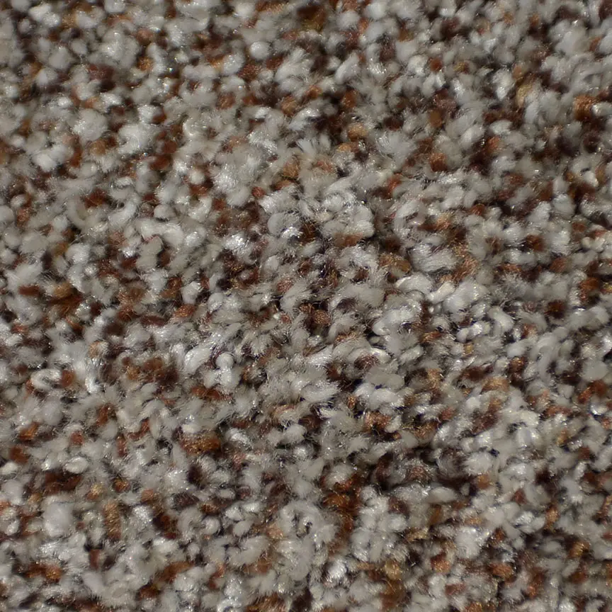 BRE.RELENTLESS Dixie Relentless Carpet-1