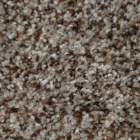 BRE.RELENTLESS Dixie Relentless Carpet
