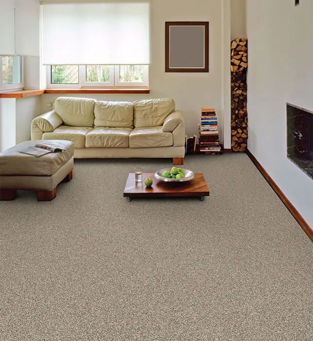 BRE.RELENTLESS Dixie Relentless Carpet-2