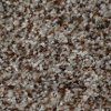BRE.RELENTLESS Dixie Stainmaster Relentless Carpet