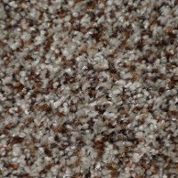 Dixie Stainmaster Relentless Carpet