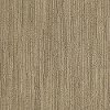 Shaw Tabinet Carpet