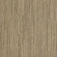 Shaw Tabinet Carpet