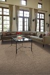 Shaw Tabinet Carpet-2