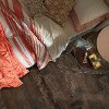 Spanish Hickory Shaw Casitablanca Hickory