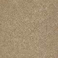 DSW.REX.MD Tuftex Rex Carpet