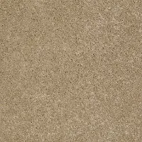 DSW.REX Tuftex Rex Carpet