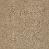 DSW.REX Tuftex Stainmaster Rex Carpet