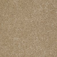 DSW.REX Tuftex Stainmaster Rex Carpet