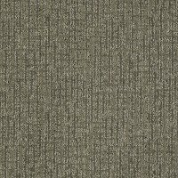 Tuftex Stainmaster Katniss Carpet