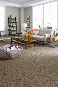 DSW.KATNISS Tuftex Stainmaster Katniss Carpet-2
