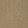 DSW.NALA Tuftex Stainmaster Nala Carpet