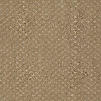 DSW.NALA Tuftex Stainmaster Nala Carpet